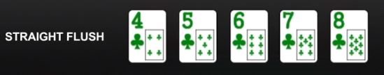 straight flush poker